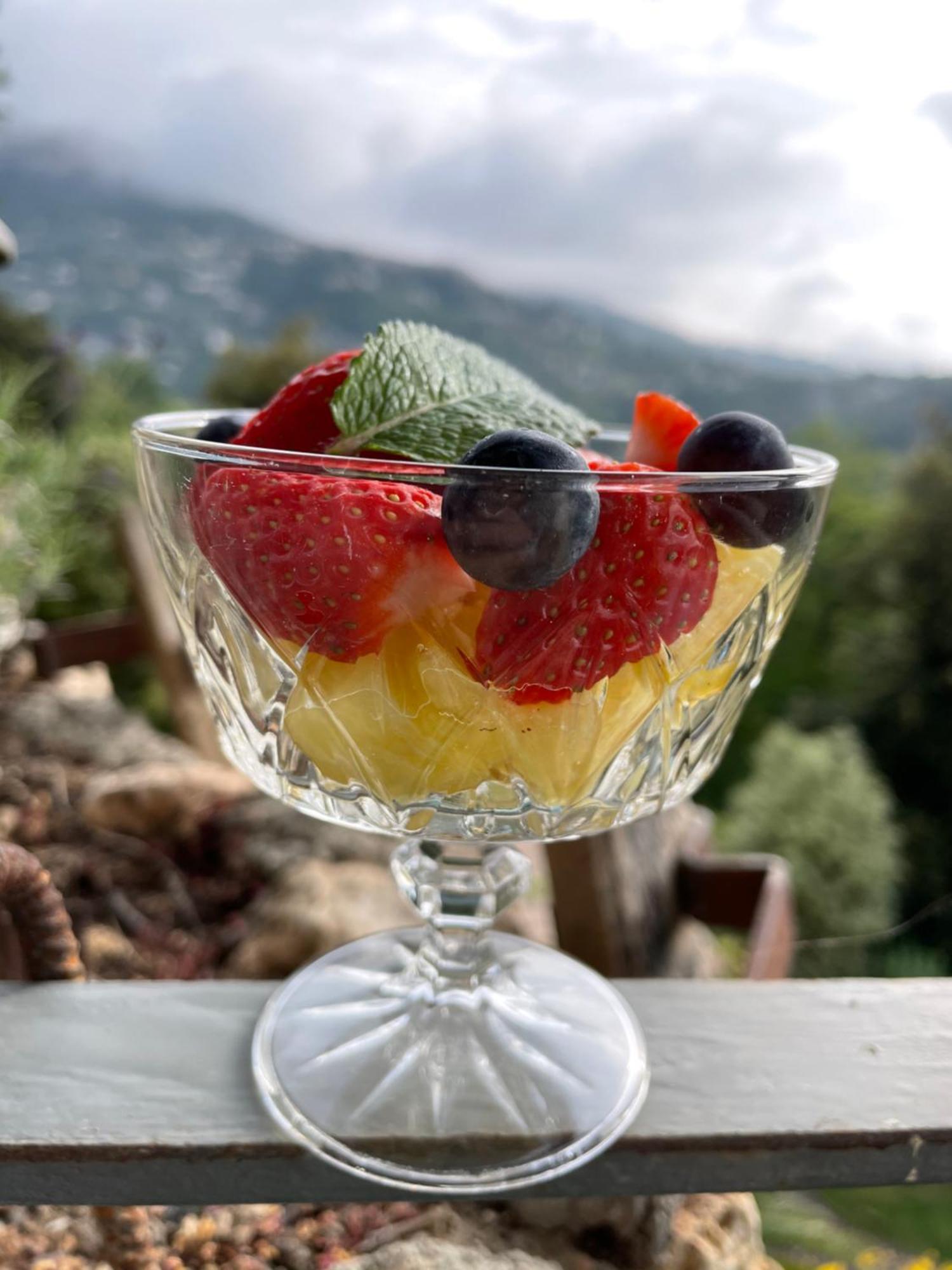 Bed and Breakfast Au Pied Des Baous Vence Exterior foto