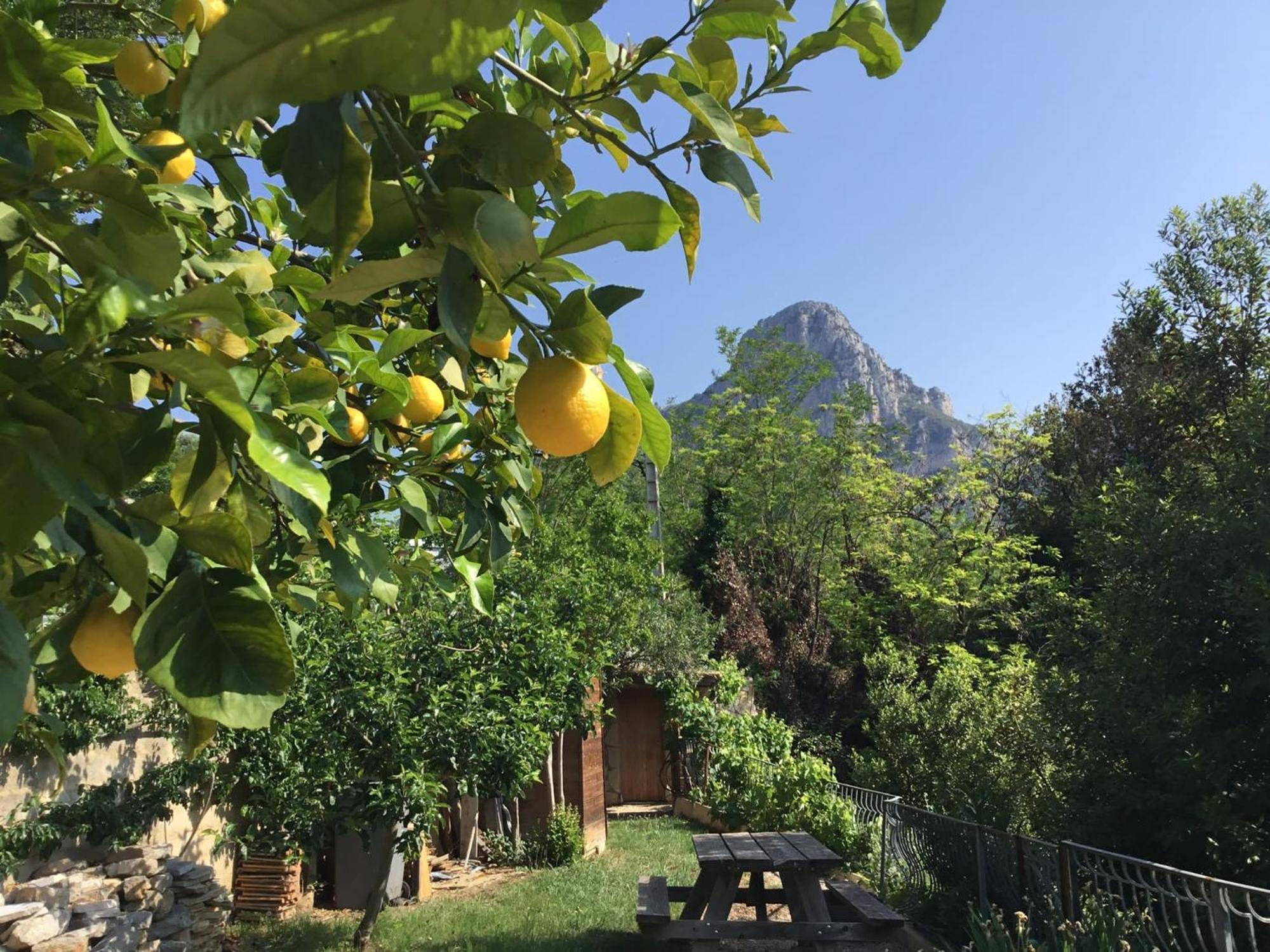 Bed and Breakfast Au Pied Des Baous Vence Exterior foto