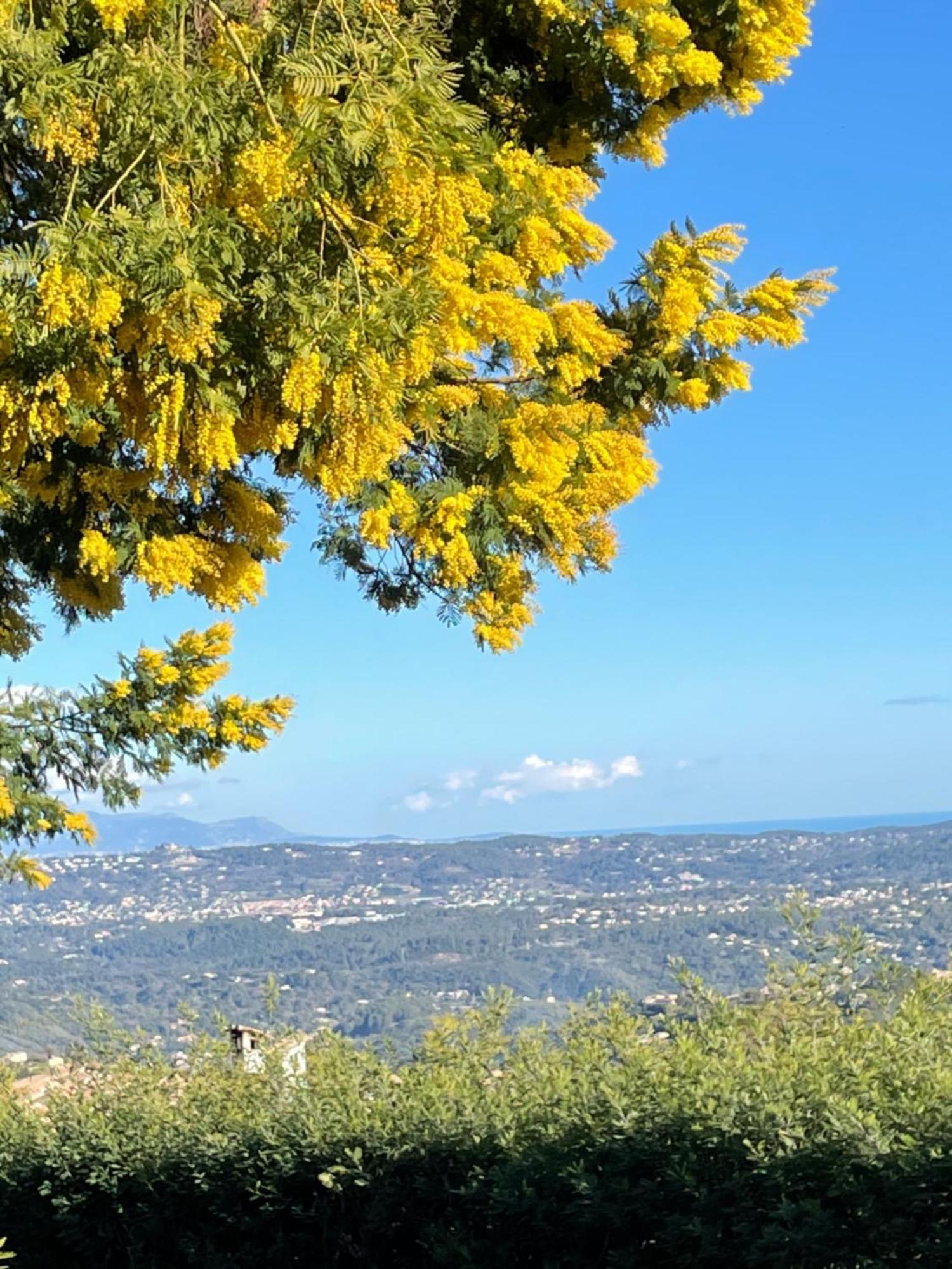 Bed and Breakfast Au Pied Des Baous Vence Exterior foto