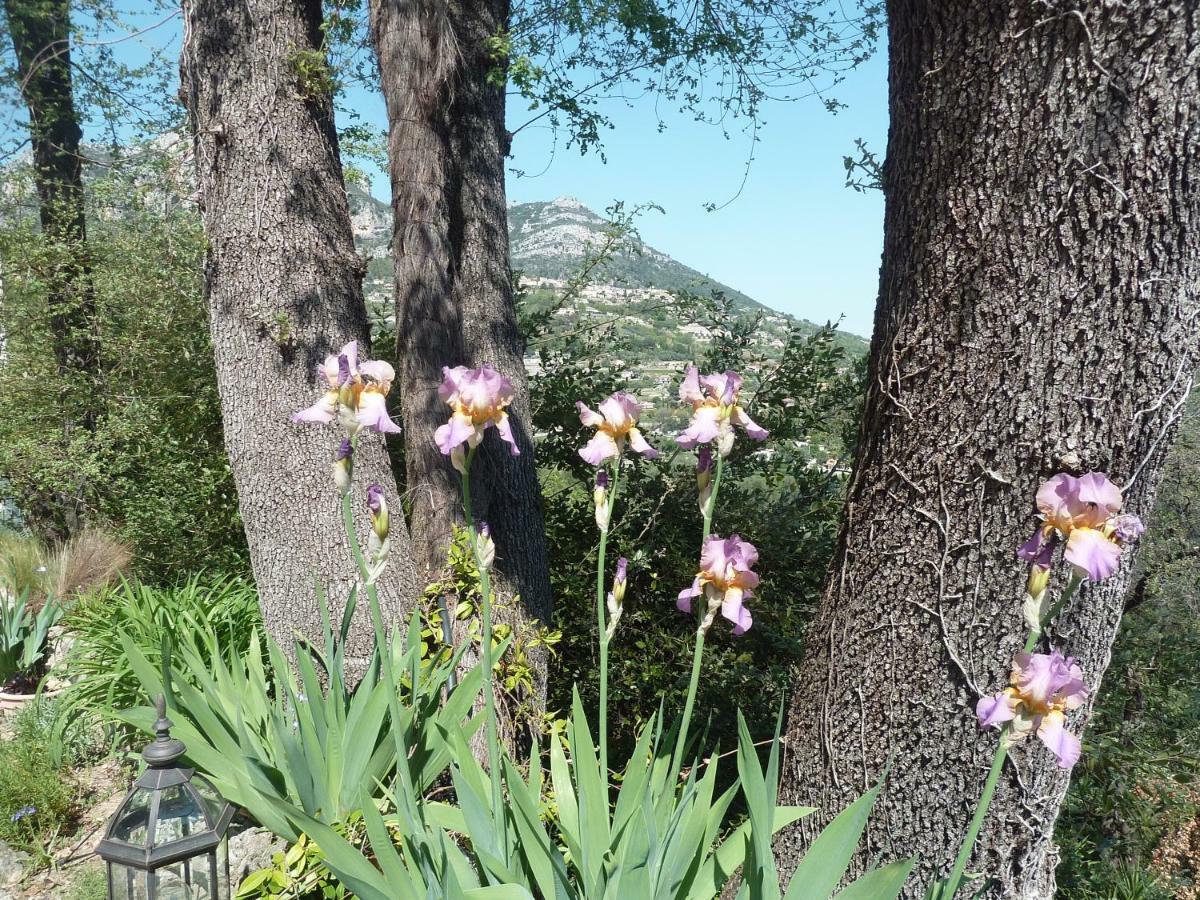 Bed and Breakfast Au Pied Des Baous Vence Exterior foto